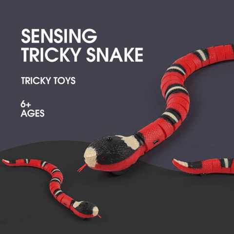 Fun Snake Cat Toy - La Vie Animale