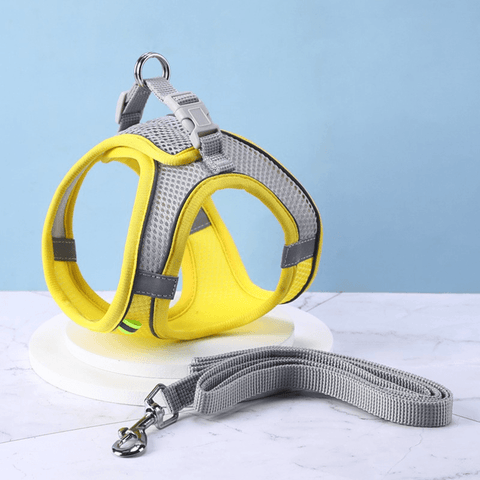 Pet Reflective Collar - La Vie Animale