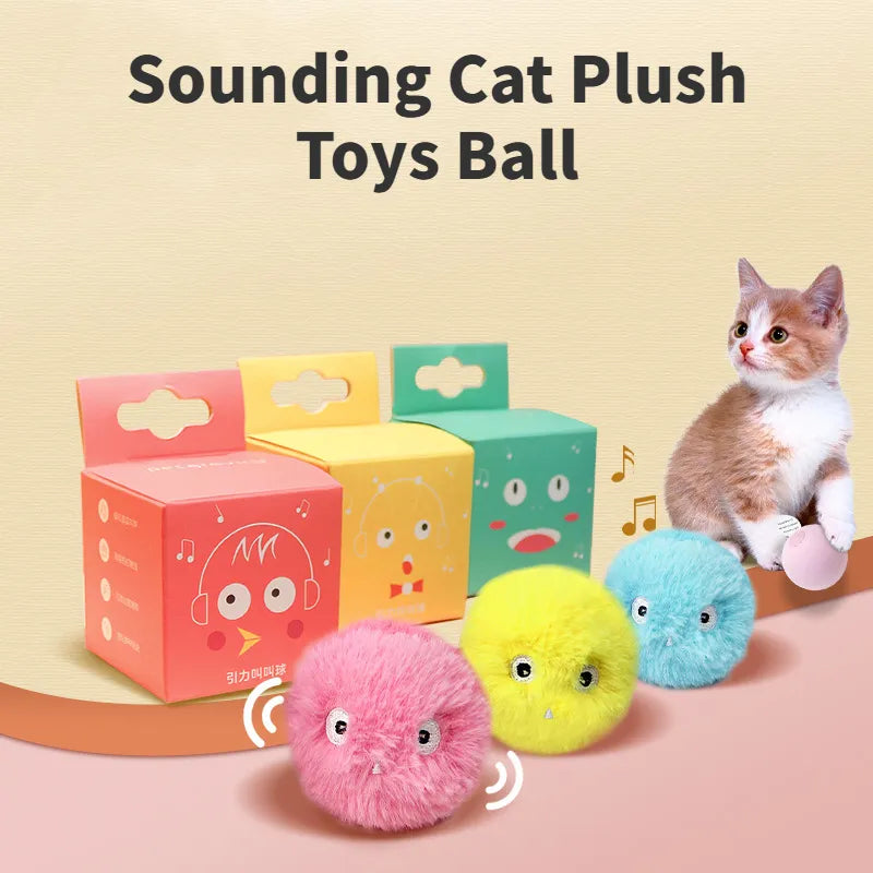 Feline Fun  Interactive Sound Ball