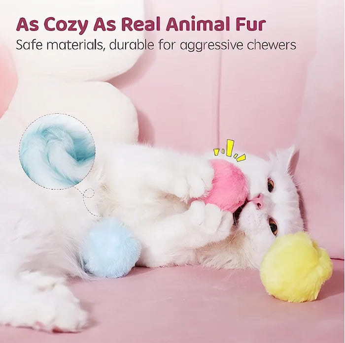 Feline Fun  Interactive Sound Ball