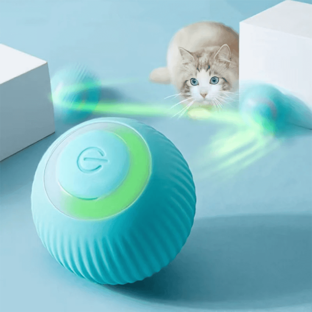 smart-cat-ball-usb-la-vie-animale