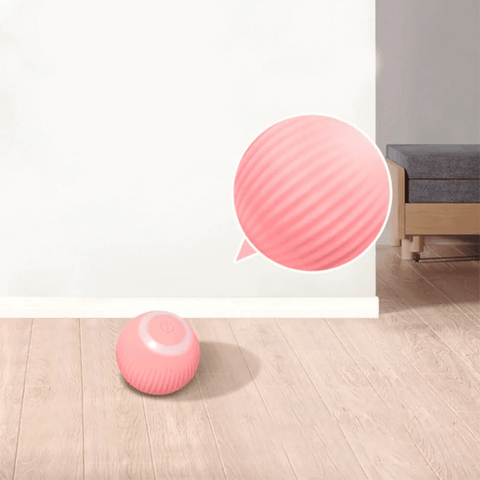 Smart Cat Ball (USB) - La Vie Animale