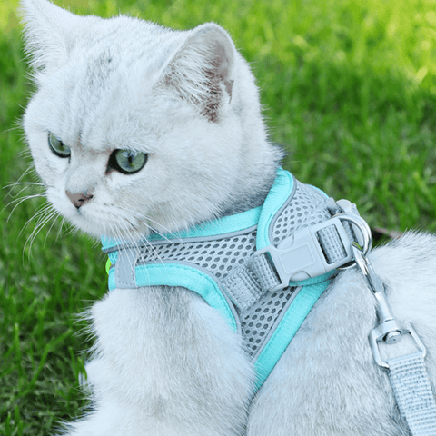 Pet Reflective Collar - La Vie Animale