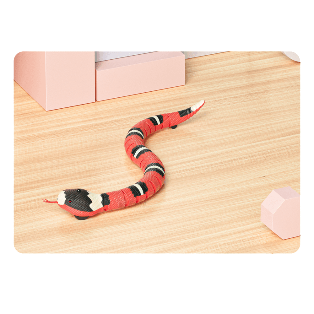 Fun Snake Cat Toy - La Vie Animale